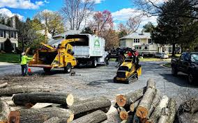 Artificial Turf Installation in Cranford, NJ